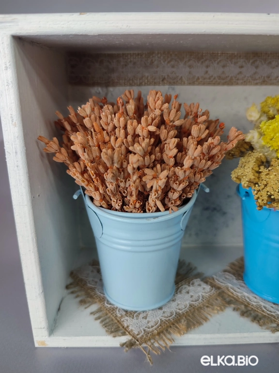 Композиция с цветами лаванды и лимоника Т128-B101