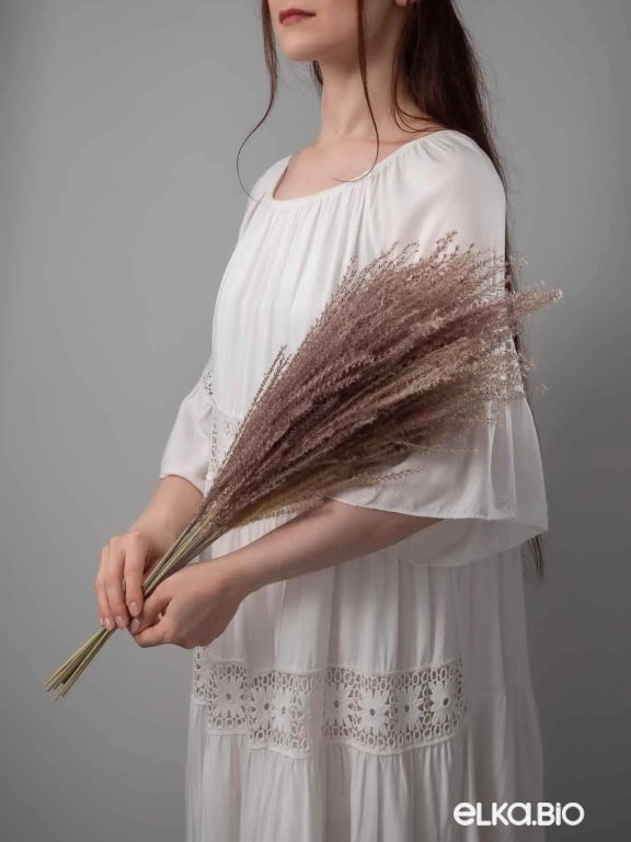 Мискантус натуральный (9-10 шт) М041 Мискантус натуральный (9-10 шт) М041