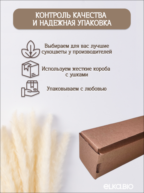 Пампас мини белый 45 шт. Высший сорт М265