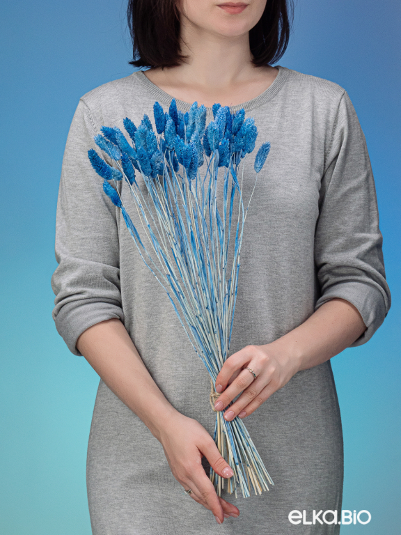 Фалярис тёмно-голубой (40шт) М117