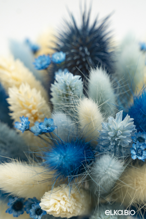 Синий букет сухоцветов из лагуруса и ворсянки Ж4-B118