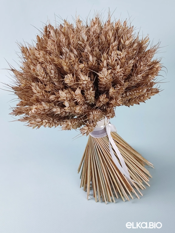 Букет из пшеницы Т148-B102