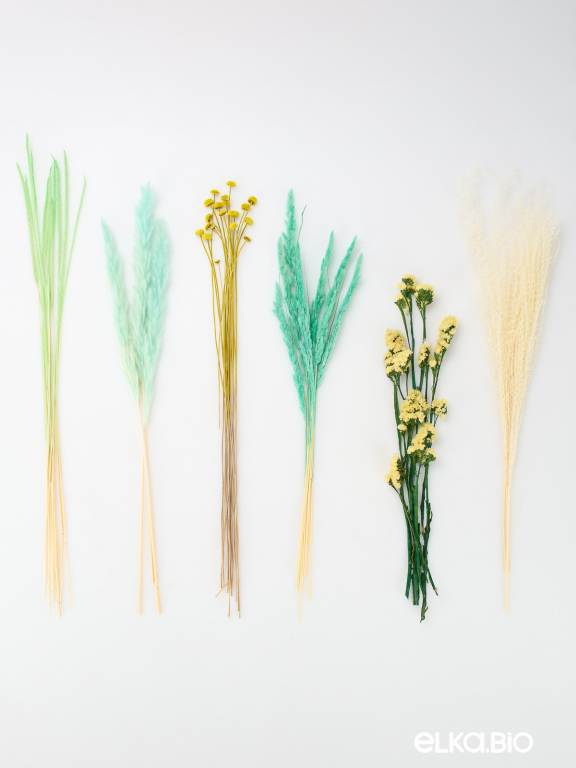 Натуральные сухоцветы набор для декора М355