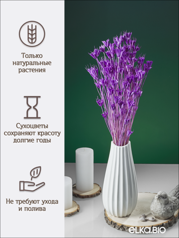Нигелла фиолетовая 50г. Высший сорт. Высота 40-55 см. М412