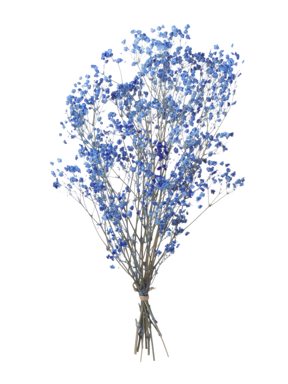  Гипсофила синий 100 - 115 г. Первый сорт - стабилизированная