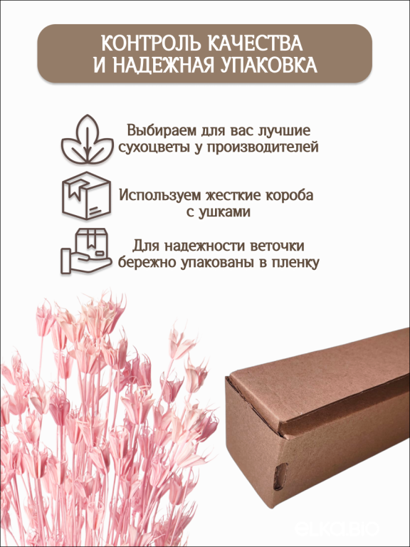 Нигелла розовая 50г. Высший сорт. Высота 40-55 см. М404