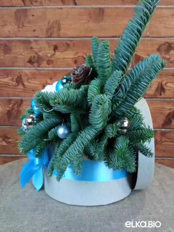 Новогодняя композиция из Нобилиса Королева Анна Ю52-В714