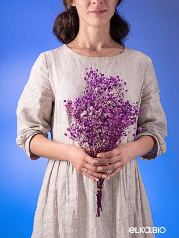 Гипсофила стабилизированная розово-фиолетовая 50 гр. высший сорт М179