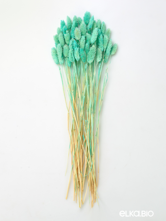 Фалярис светло-бирюзовый (40шт) М111 Фалярис светло-бирюзовый (40шт) М111