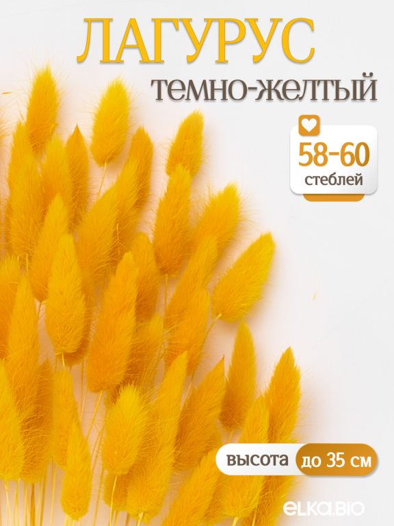 Лагурус тёмно-жёлтый 60 шт. Высший сорт. Высота 25-35 см М238