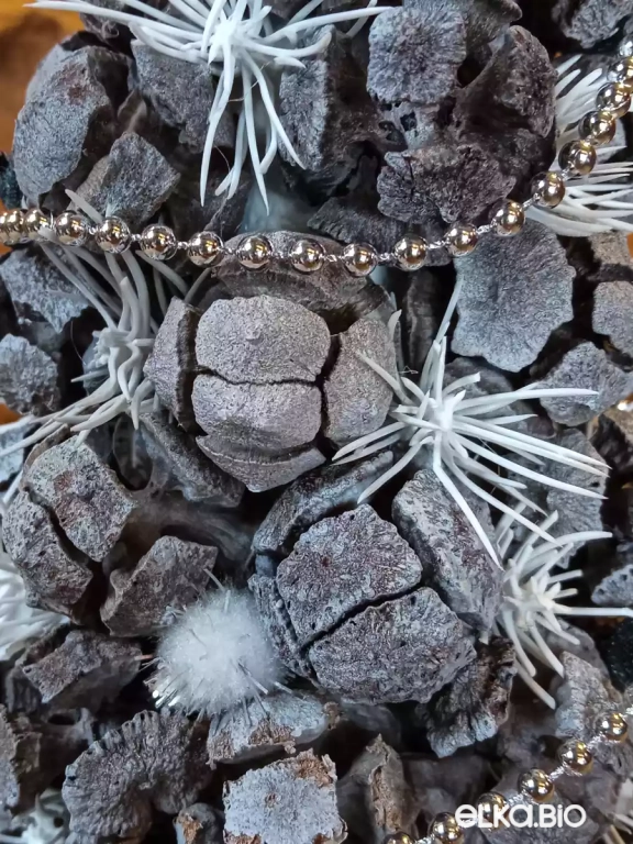 Настольная елочка из шишек кипариса Ветер Одиссеи (елка) S А36-В31