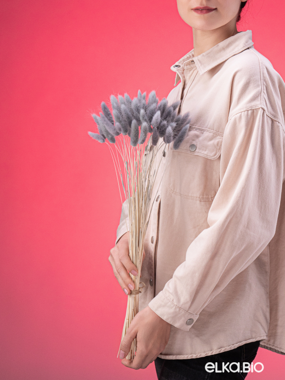 Лагурус серый высший сорт - 60 шт