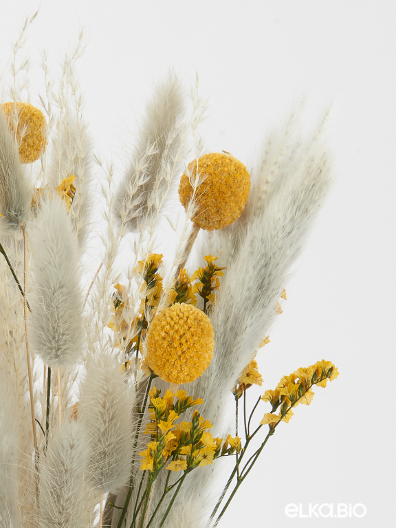 Нежные сухоцветы для декора в наборе М320