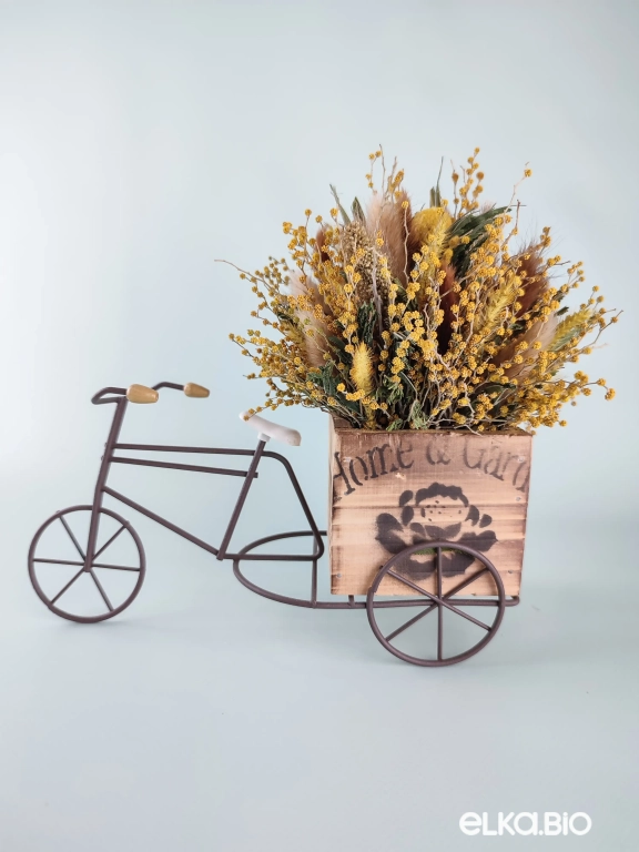 Велосипед с лагурусом и мимозой Т157-B102