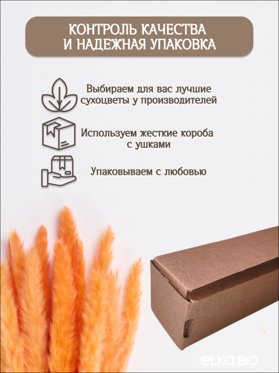 Пампас мини оранжевый 15 шт. Высший сорт. Высота 40-50 см. М032