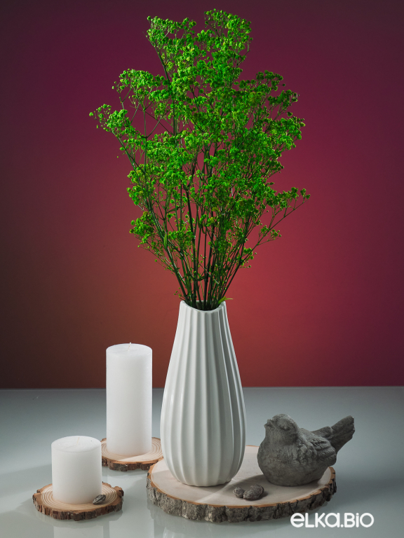 Гипсофила стабилизированная зелёная 550 гр. первый сорт М5161