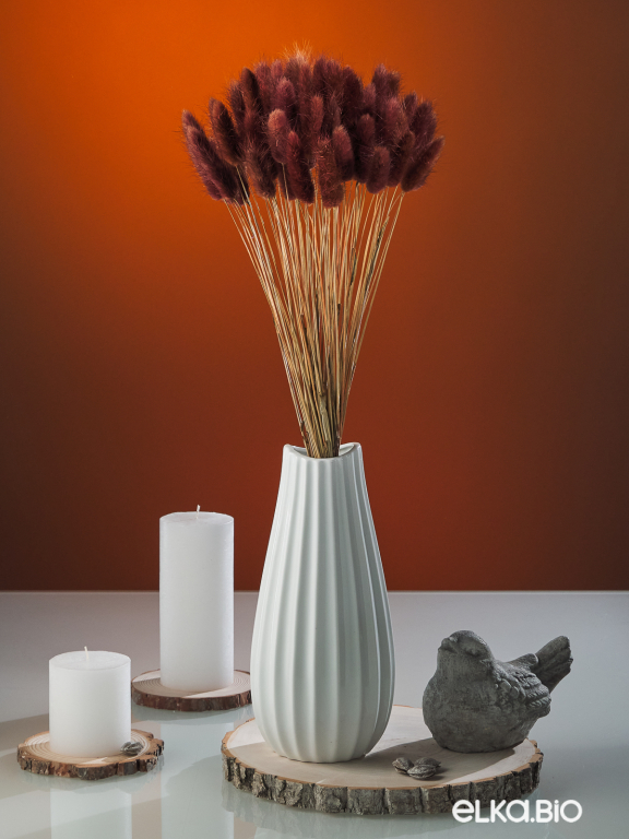 Лагурус коричневый высший сорт - 60 шт