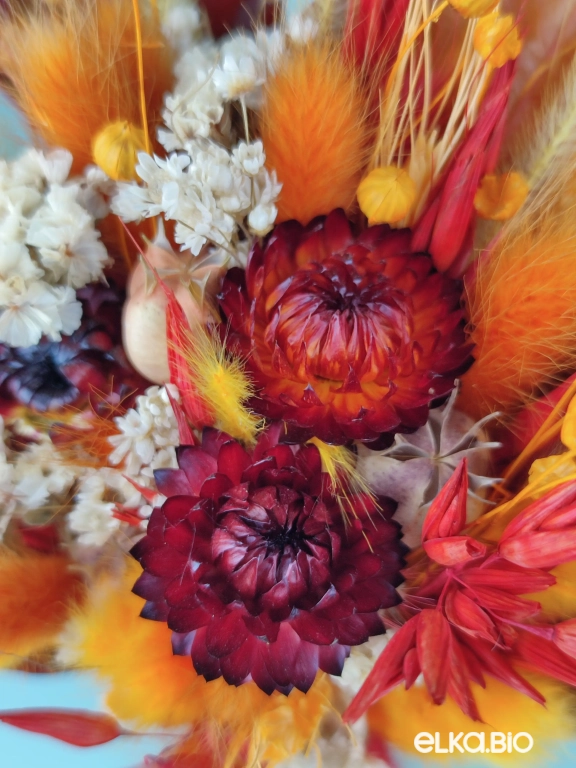 Букет из красных, желтых сухоцветов и листьев маниока Т180-B107