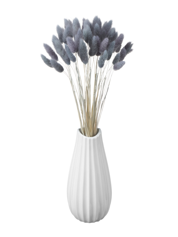 Лагурус серый первый сорт - 300 шт