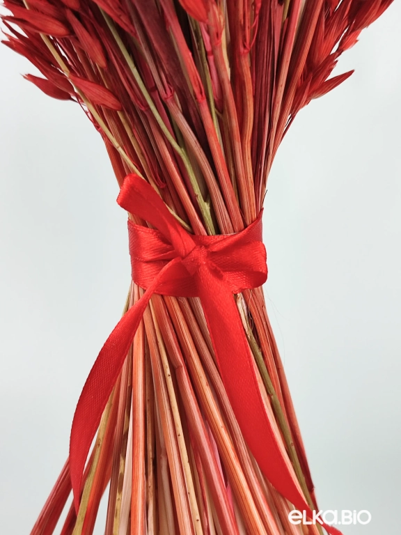 Красный букет с овсом, хлопком и сухоцветами А124-B104