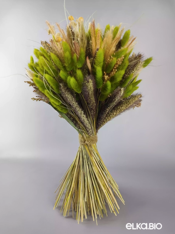 Букет с зеленым лагурусом Б51-B101