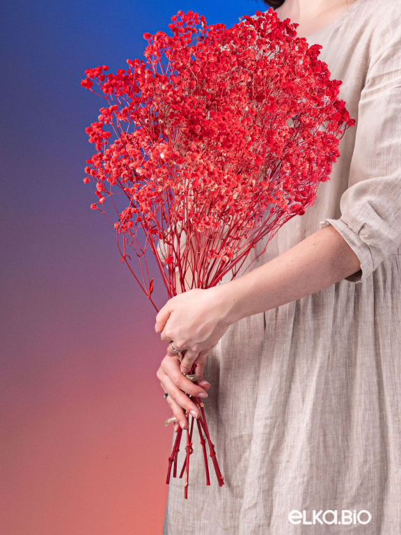 Гипсофила красная 140г. Высший сорт - стабилизированная М162