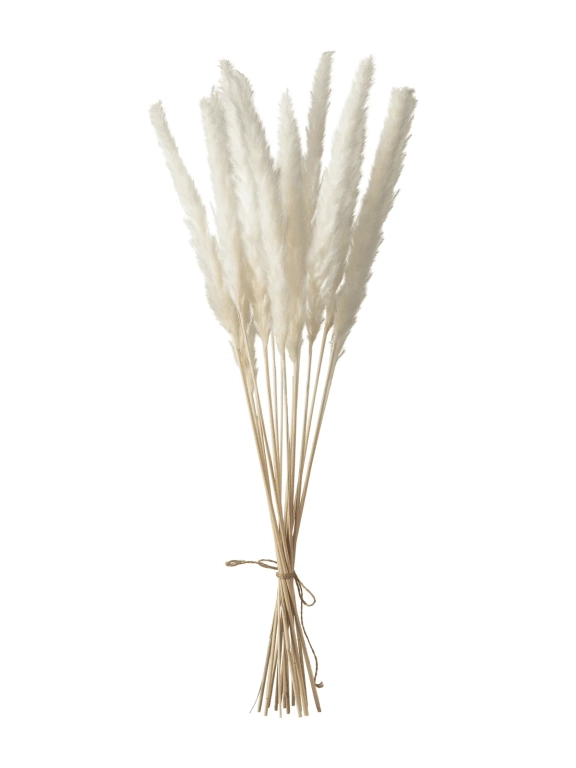 Трава сухоцвет пампас мини 90 шт. белый первый сорт