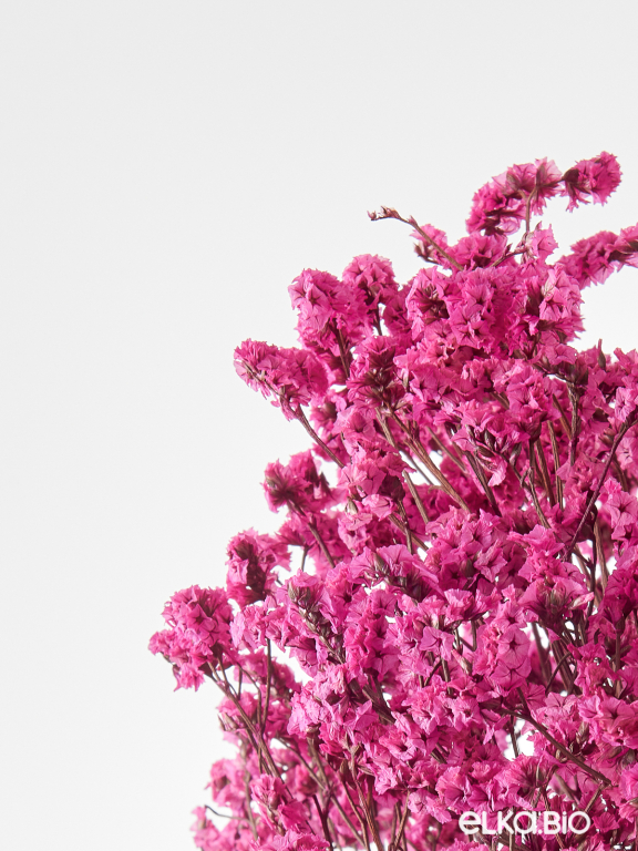 Цветы лимониума фуксия (80г) М222 Цветы лимониума фуксия (80г) М222