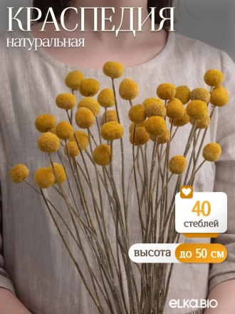 Краспедия натуральная 40 шт Краспедия натуральная 40 шт