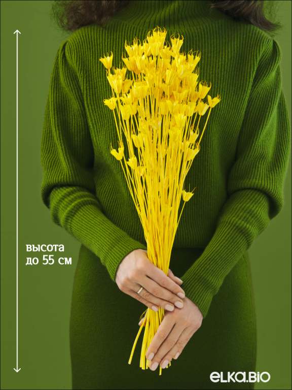 Нигелла желтая 50 г. Высший сорт. Высота 40-55 см. М414