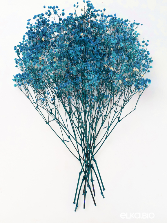 Гипсофила ярко-бирюзовая 140г. Высший сорт - стабилизированная М053