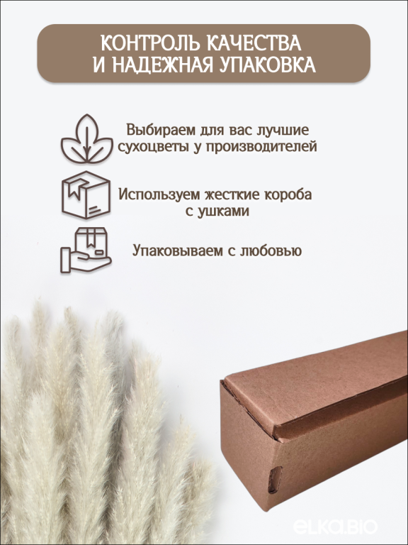 Пампас мини серый 15 шт. Высший сорт. Высота 40-50 см. М139