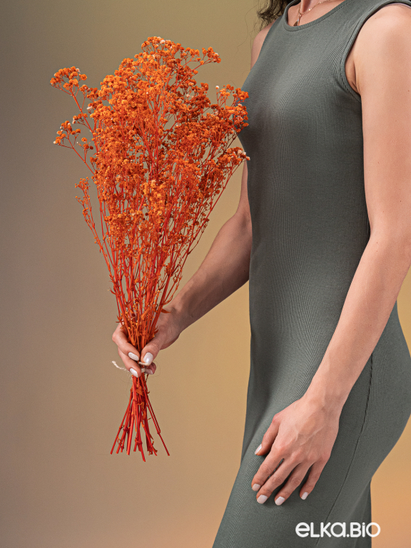 Гипсофила стабилизированная оранжевая 140 гр. высший сорт М163