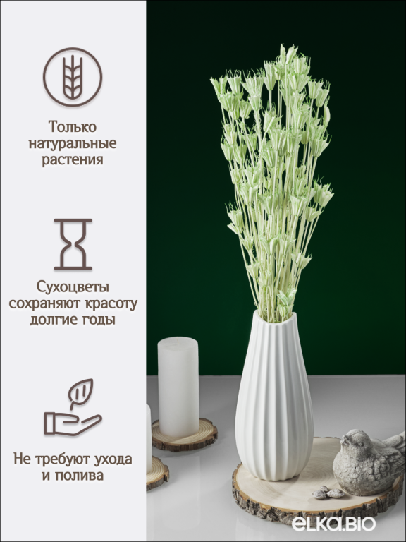 Нигелла светло - зеленая 50г. Высший сорт. Высота 40-55 см. М405