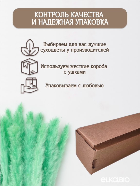 Пампас мини зелёно-бирюзовый 15 шт. Высший сорт. Высота 40-50 см. М133