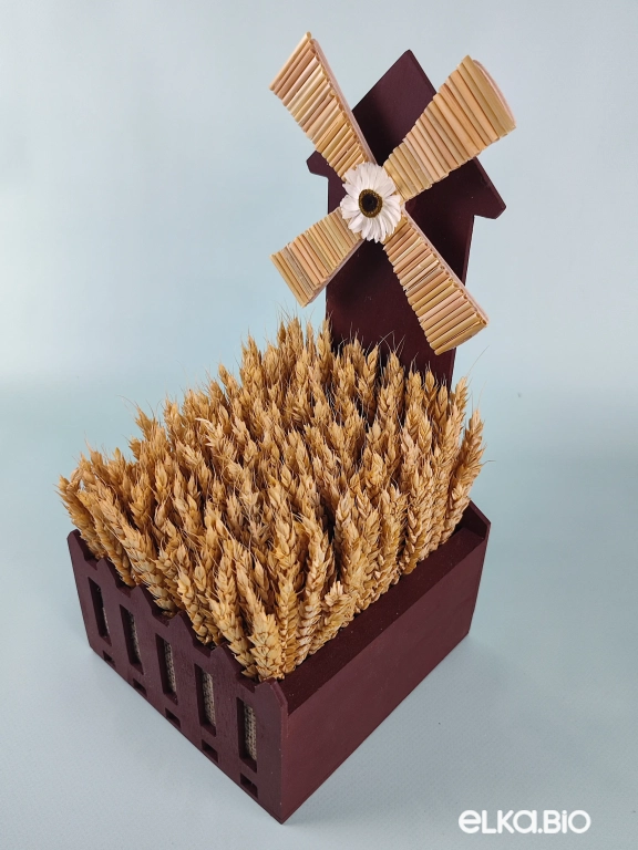 Композиция из пшеницы Т172-B104