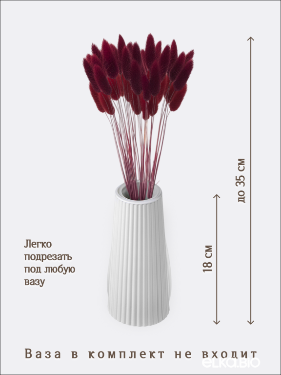 Лагурус бордовый марсала 30 шт. Высший сорт. Высота 25-35 см М473