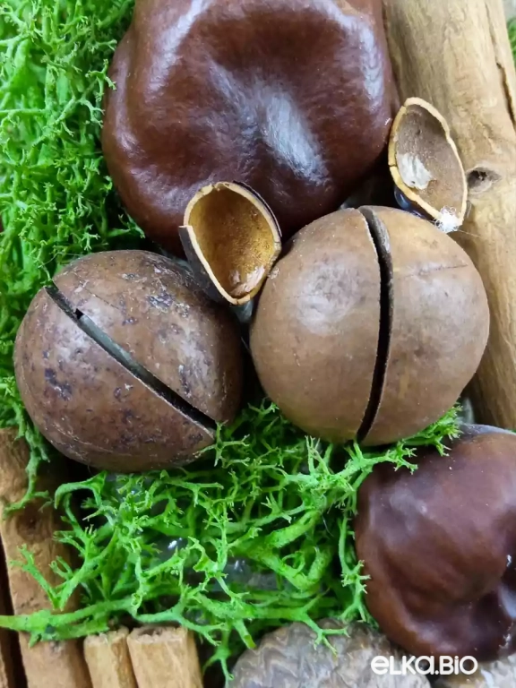 Настольная декоративная елка из натурального декора Ореховая мечта Ю11-В23