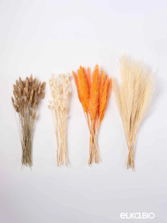 Натуральные сухоцветы для декора. Набор М075