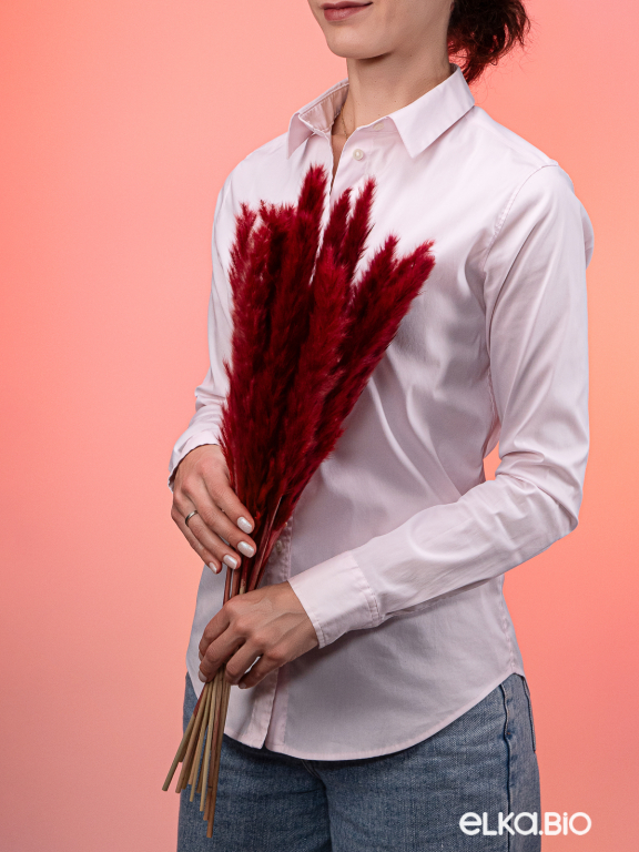 Трава сухоцвет пампас мини 90 шт. бордовый первый сорт