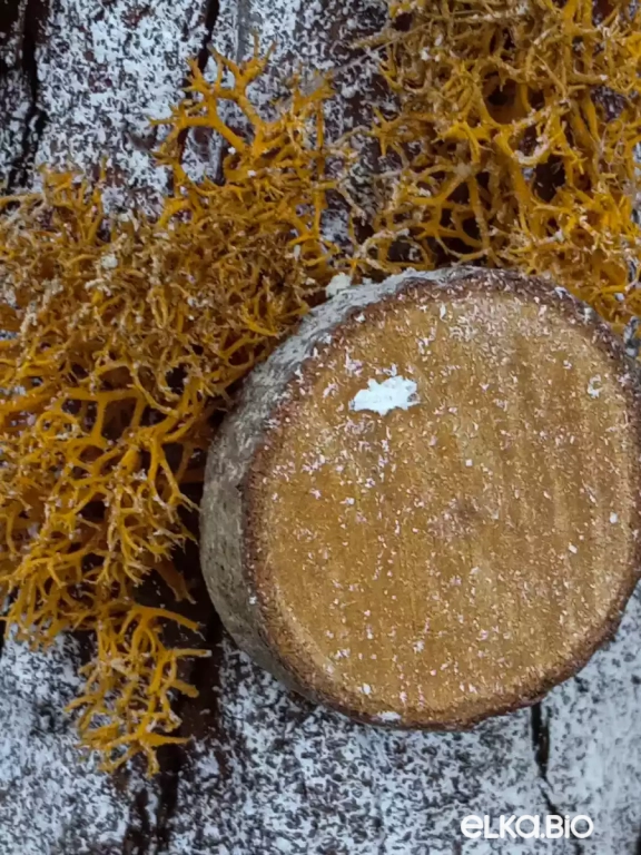 Настольная новогодняя елка из коры и мха Взрыв креатива Т9-В11