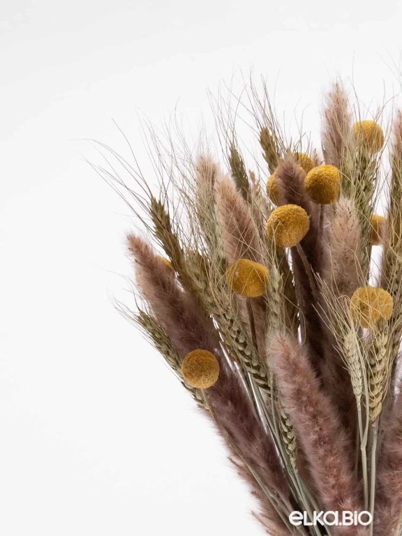 Натуральные сухоцветы для декора. Набор М066