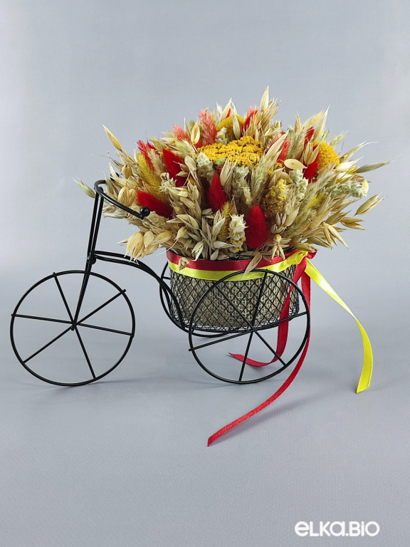 Велосипед с колосками овса и лагурусом Т134-B101