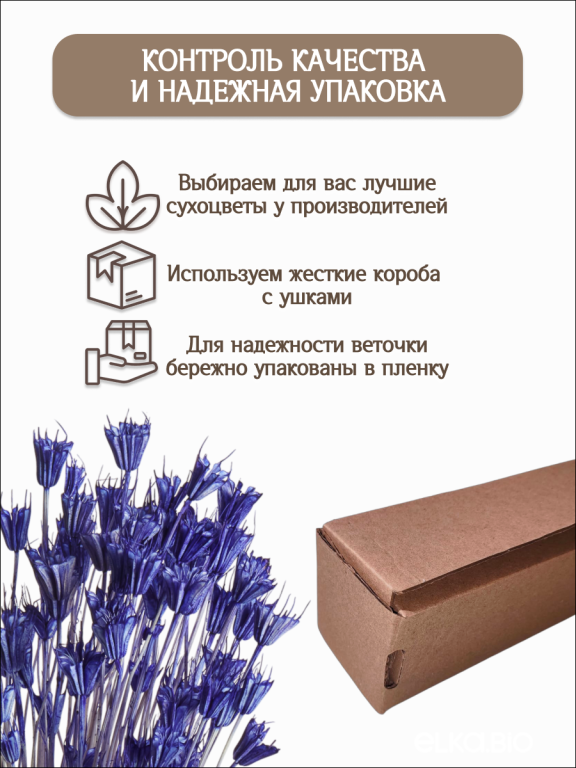 Нигелла синяя 50г. Высший сорт. Высота 40-55 см. М411