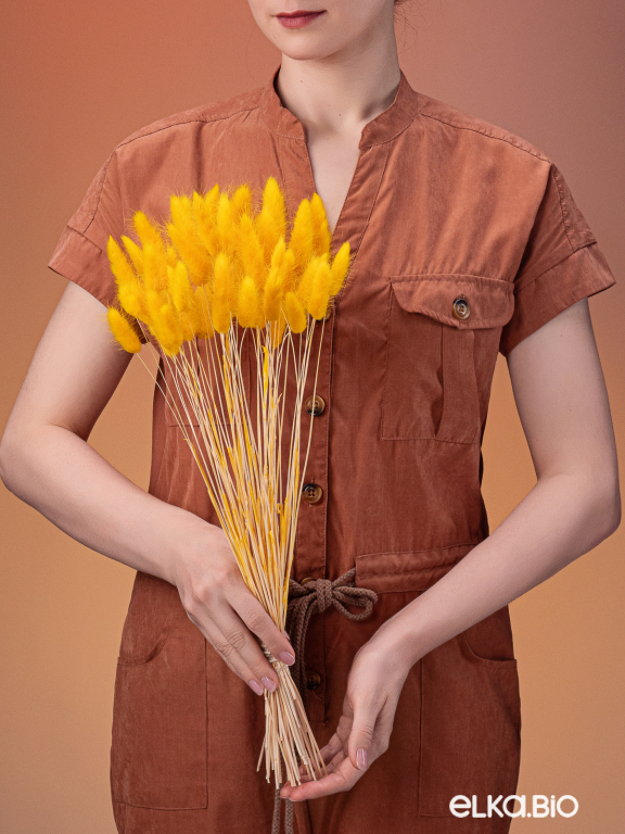 Лагурус тёмно-жёлтый высший сорт - 60 шт