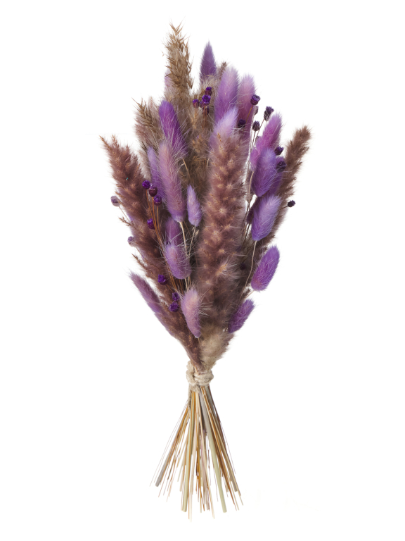 Сухоцветы для декора набор в нежных тонах М310