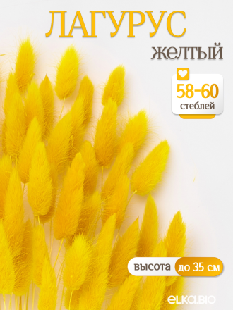 Лагурус жёлтый 60 шт. Высший сорт. Высота 25-35 см М227