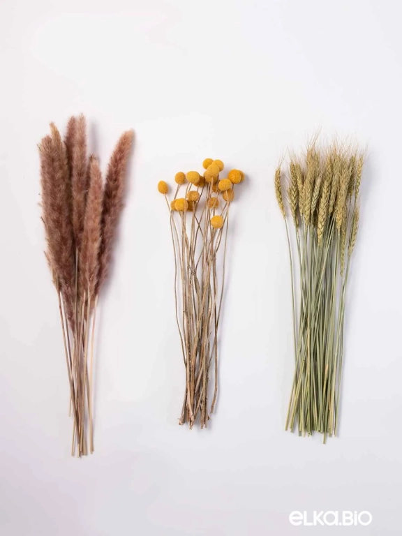 Натуральные сухоцветы для декора. Набор М066