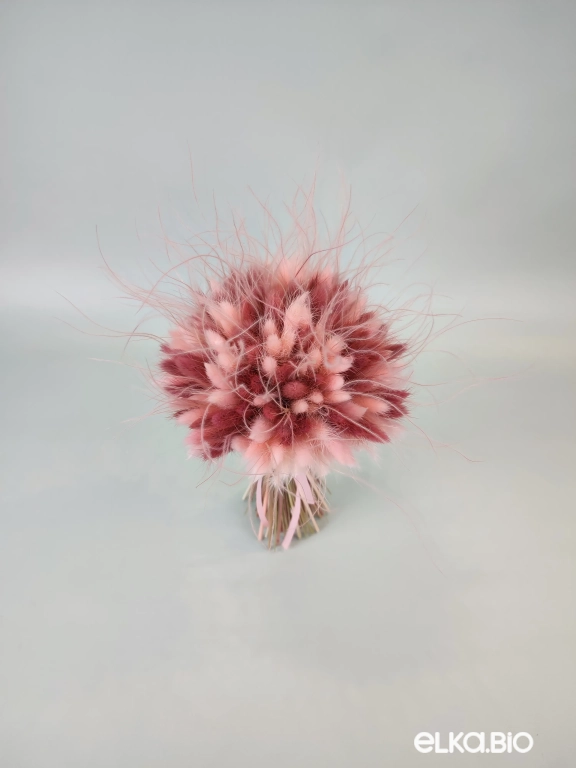 Розовый букет из лагуруса Б110-B113