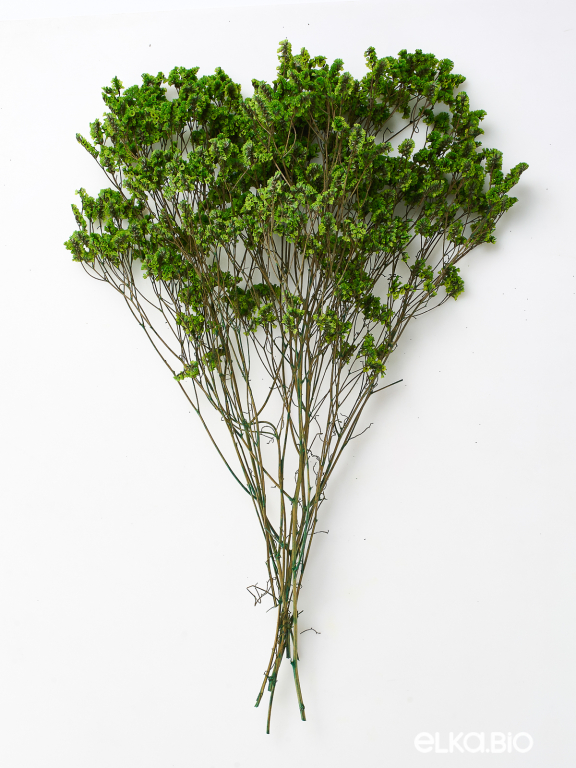 Цветы лимониума зелёные (80г) М217 Цветы лимониума зелёные (80г) М217